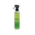 Spray Potencializador Nano Liso dos Sonhos 300ml Well Hair